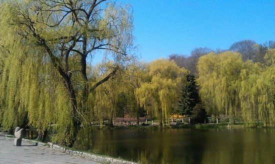 Wycieczki rowerowe wzdłuż Motławy
